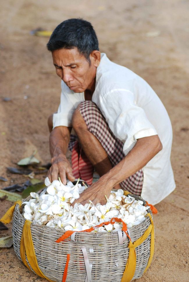朝早くから、多くの僧侶、寺の関係者等がせわしなく動いています。