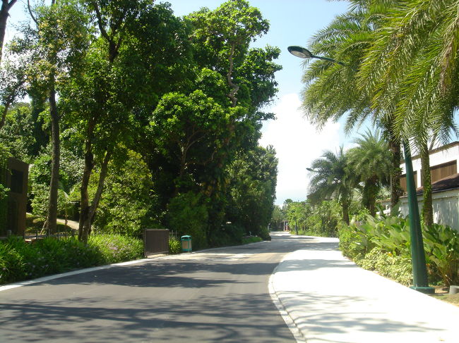 ホテル前のビーチロード<br />シンガポール本島に向かうモノレール迄子供込み徒歩で15分位<br />なんとか歩ける距離でした<br />このビーチロードを挟んですぐビーチです<br />便利だったのですがあんまりビーチには行きませんでした