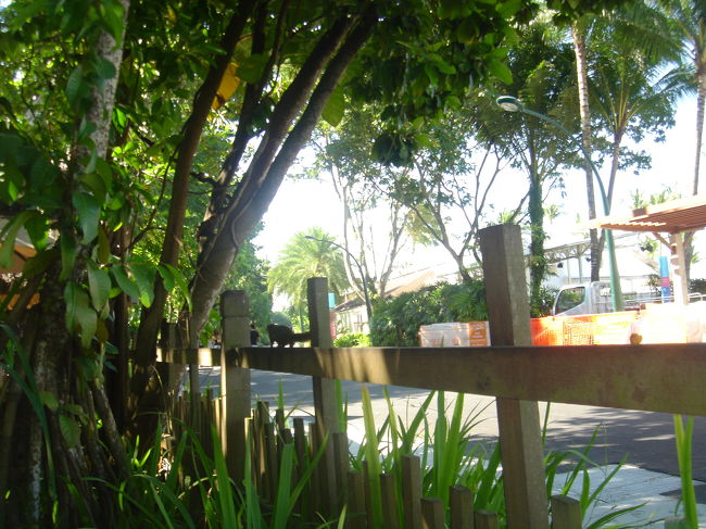 朝食会場から見たビーチロード<br /><br />雰囲気はイイのですが朝食の品数が少ないのが難点でした