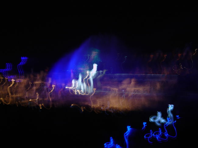 案の定ブレブレの写真<br />(このほかにも多数ブレ写真あり、これが一番マシ)<br /><br />ショー自体は楽しくオススメです<br /><br />