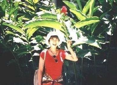 入国審査は、軽いノリのおじさんが担当し、<br />友達と一緒に呼ばれる。<br />友達に旅行目的、私に滞在日数を訊き、<br />「ビーチでボーイハントするの？」<br />なんて冗談まで。<br /><br />日付変更線で戻る形になるので、<br />夜が明けたのに、まだ３０日。<br />なんだか不思議。<br />空港に着くと、出口で、<br />乗客みんなの首に歓迎のレイをかけてくれる。<br /><br />パッケージツアーで、<br />初日は半日ガイド付きの観光、<br />ということになっていた。<br />バスにでも乗るのかなあ、と思っていると、<br />私達を迎えてくれたのは、<br />大きい白のキャデラック！<br />８月も終わりということもあり、<br />ツアー参加者は２人だけだったみたい。<br />なので、キャデラック貸し切りでレッツゴー！<br /><br />何年も経ってからこれを書いているので、<br />あまり覚えていなくて、観光の件は割愛。<br /><br />陽差しが眩しくて、葉っぱがきれいで、<br />ハワイだし、アイドルっぽく写真を撮ろう！<br />とふざけたのがこれ。 