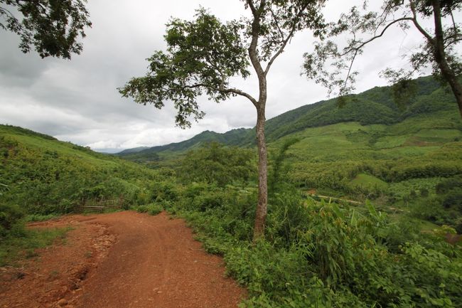 歩いて行く途中。山を登って行くので結構大変です。大きい荷物は村の人が運んでくれます。