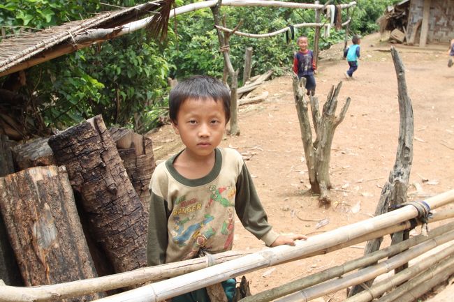 子供達を発見したんですが、この子以外は逃げて行ってしまいました。