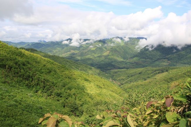 今日も良い天気です。