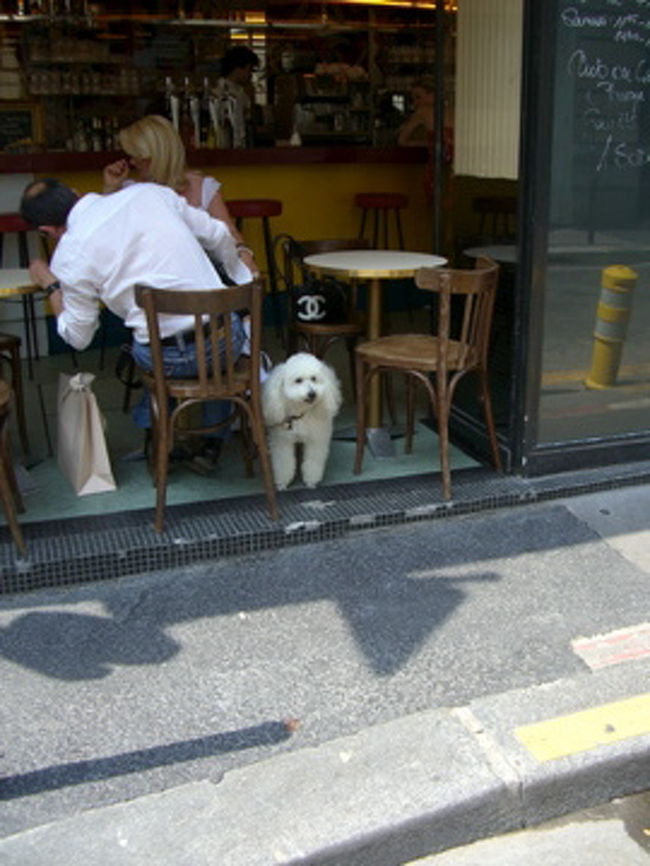 ワンコもカフェでひと休み。<br /><br />
