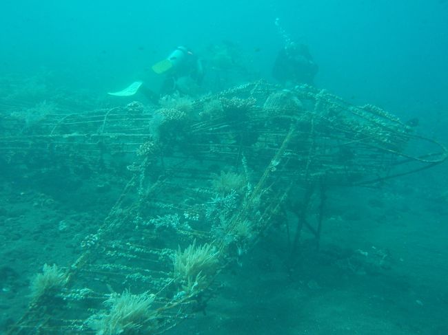 飛行機も沈んでいました。<br />先ほどの沈没船もこの飛行機も旧日本軍のものなんだそうです。