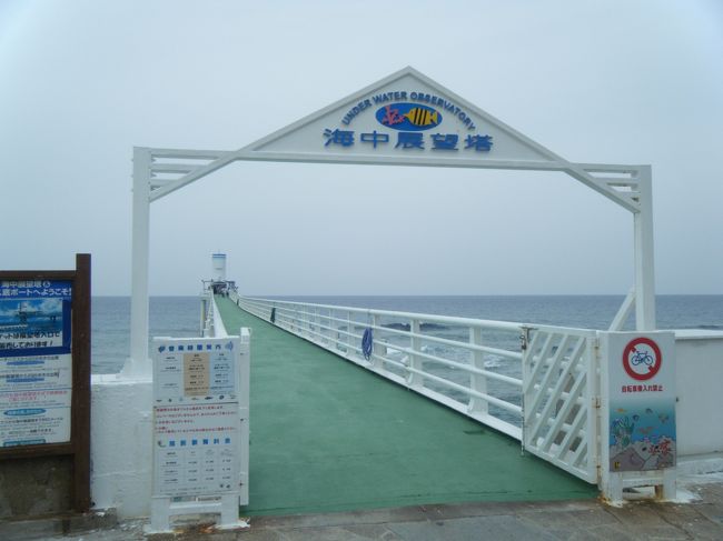 ２日目はドライブへ出かけました。<br />天気はうす曇り･･･時折スコールみたいな雨が降ってきます。<br /><br />外で観光するには雨がうっとおしいので、とりあえずブセナテラスの海中展望塔へ。<br /><br />天気とは裏腹に海の中はお魚いっぱいで、意外に楽しめました。