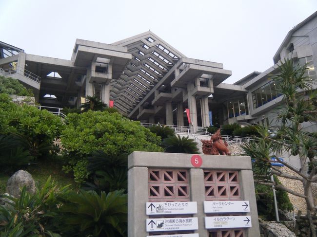 夕暮れてきたので急いで「美ら海水族館」へ行きました。<br />今まで「沖縄に来て飼われているお魚を見るなんて！」と思っていましたが、ジンベイザメだけは見ておく価値があると思って来てみました。<br /><br />以前この辺に来たときは海洋公園しかなかった頃なので、立派な駐車場が出来ているだけでびっくり！<br /><br />夕方からだと安い値段で入れるチケットが売っていますし、昼間より空いているのでお奨めです。