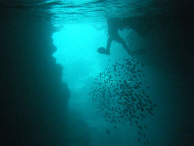 綺麗です！！<br /><br />洞窟の外からの光が洞窟の中の海に反射してエメラルドブルーに見えるのだそうです。<br /><br />インストラクターのミカさんが、しばらく目をとじて浮き輪につかまっているように言いました。<br />わけも判らず言われたとおりにしていると･･･<br />「いいよー」と言われて目を開けてみると、海から顔を出した状態でも幻想的な青く輝く「たまり」みたいな場所でした。<br />キレイ！！<br /><br />あいにく写真が失敗してしまったのでお見せ出来ませんが･･･<br />興味がある方は是非ご自分の目で確かめてきてください。<br />