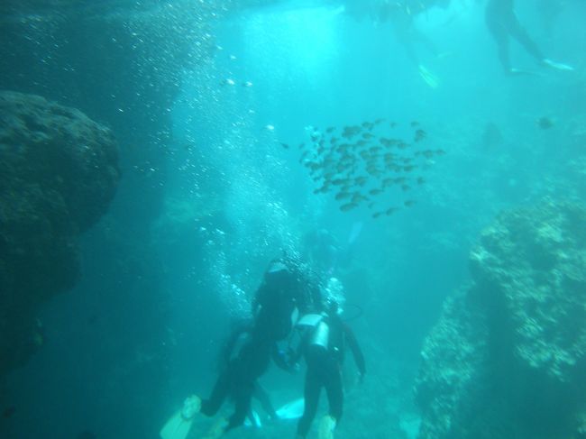 下のほうにはたくさんのダイバーの方がいました。<br /><br />この日は本当に観光客渋滞でした。<br />途中で前のチームを待ってから進んだり･･･<br /><br />それでも充分に楽しめました。