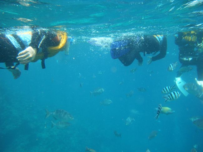水深１０ｍほどでしょうか。水の透明度もいい感じです。<br /><br />ウェット着ないでシュノーケルしたら気持ちいいだろうな〜<br />お魚たくさん見れました。