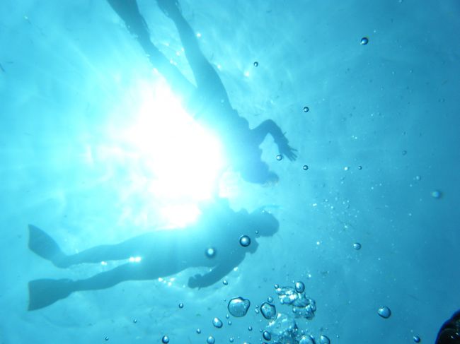 海の底からミカさんが写真を撮ってくれました。<br /><br />下から見るのもまた素敵です。<br />新婚カップルとかだったらいい思い出になりそうですね。<br /><br />せっかくだから、せめて手くらいつなげばよかったかな･･･ｗ