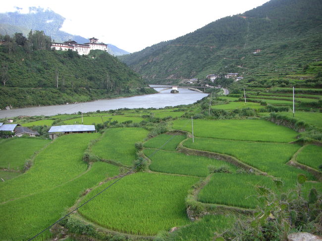 日暮れまで時間があったので、リンチェンガンまで歩いて行ってみました。