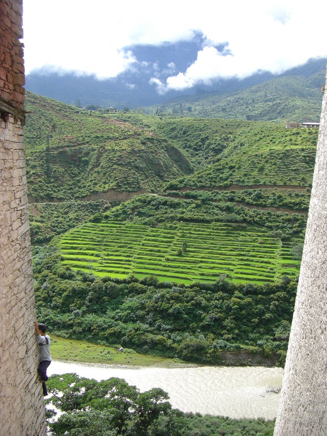 建物の脇に見える段々畑を写真にとっていると、