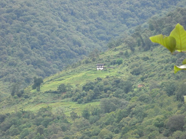 街を出ると、すぐに家がまばらになります。単純な疑問として、隣の家に連絡するときは大変だなぁ〜。