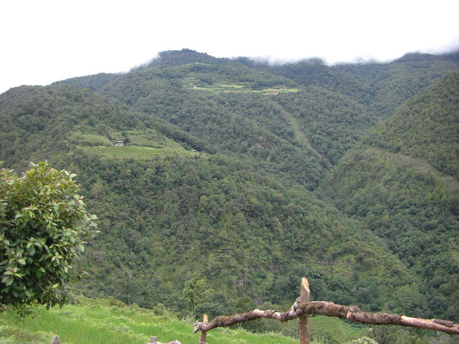 山の上の方に、ぽつんと家が！　当然、車で行けるわけ無く、歩いて行くとのこと。う〜ん、大変！
