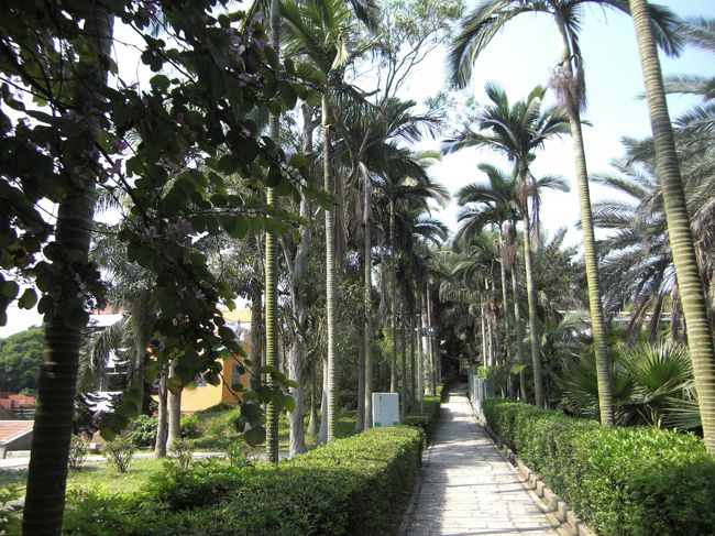 南国気分の道を北へ向かうと、