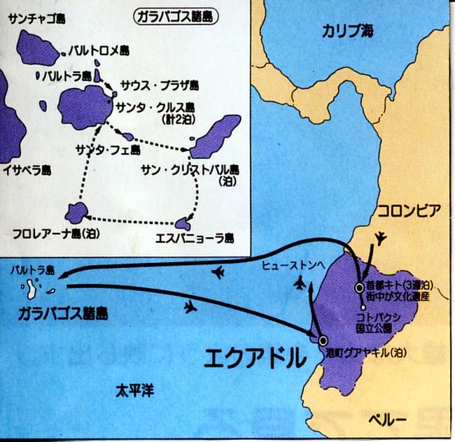 ガラパゴス諸島の散策 ガラパゴス エクアドル の旅行記 ブログ By Alpsmakiさん フォートラベル ガラパゴス諸島の散策 ガラパゴス エクアドル の旅行記 ブログ By Alpsmakiさん フォートラベル