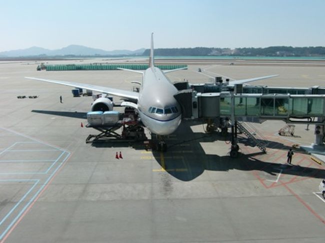 この飛行機でロンドンに向かいます！<br />