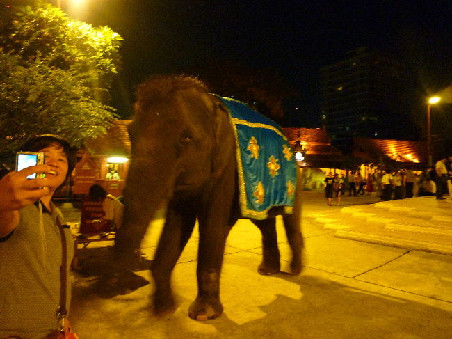 ショーが始まるまで中庭？でいろんな出し物や、タイの各地域の生活を再現したコーナーなどがあり、早めに行っても楽しめると思います。 <br />…駅間違わなければもっと早く着いたのに…（← <br /><br />ゾウさんもいます！！この子は後でショーにも出てきました。