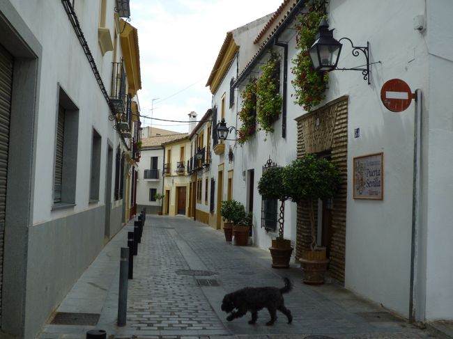 まずはユダヤ人街を目指し、コルドバ駅から歩くこと30分程。<br />途中迷子になりかけましたが、親切なお婆ちゃんに道を教えてもらって何とか歴史地区に辿り着けました。