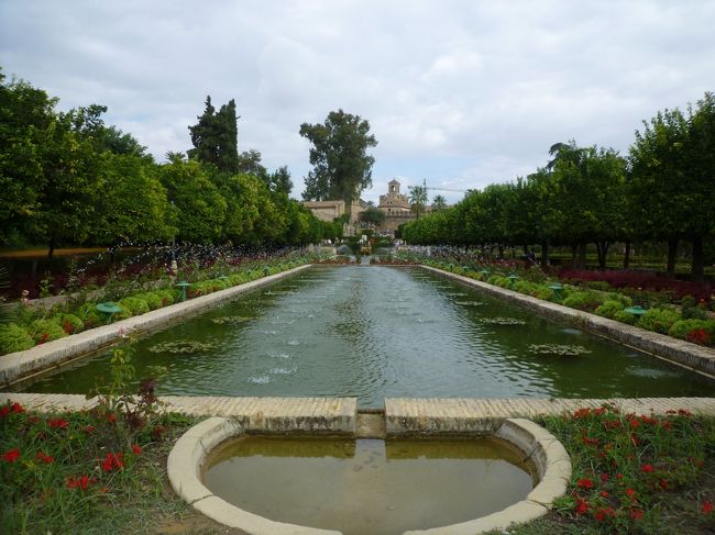 アルカサルは庭園がとても綺麗でした。<br />よく手入れされています。<br />花もたくさん咲いていて和みました。