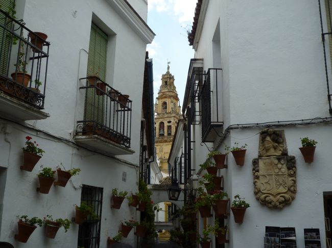 メスキータから少し北に行ったところに｢花の小道｣という有名なポイントがあります。<br />可愛らしい家の間からメスキータのミナレット(尖塔)が見える絶妙な撮影スポットですが……観光客がかなり多くて辟易します。<br />私が行った時は中国人団体客が大量に押し寄せてきました。<br />こういうところに現われるのは日本人と中国人ばかり。