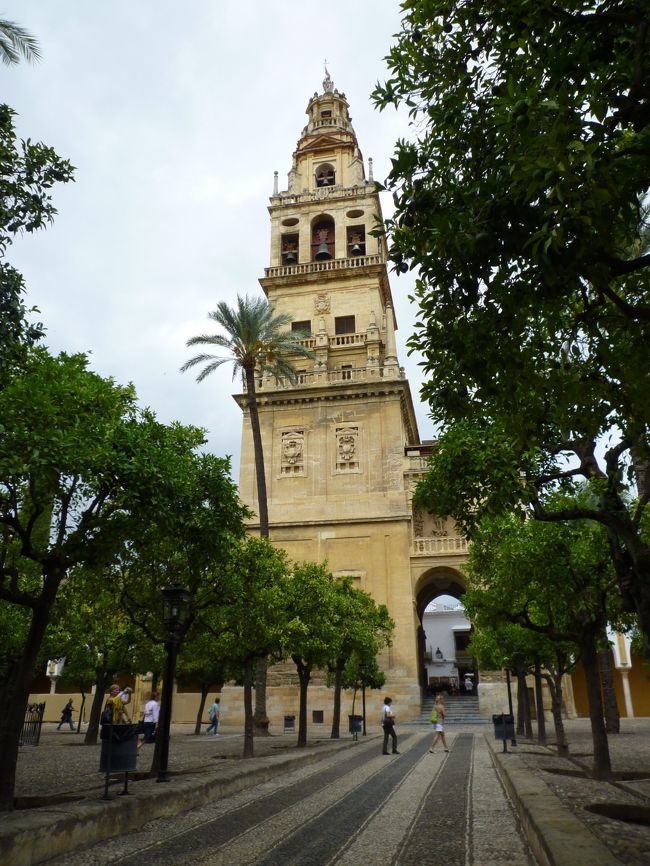 オレンジの木が植えられた中庭を通り抜け、いよいよ最大の見所メスキータ内部に入場です。<br />入場料は8ユーロでした。