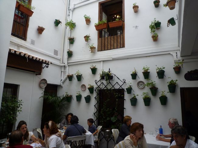 次はグラナダに移動する予定だったのですが、お腹が空いてきたのでパティオで食事しました。<br />コルドバにはこういった可愛い店がいっぱいありました。