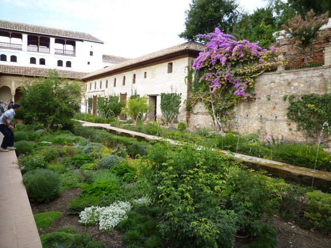 水と緑で満ちた空間はやはり和みます。