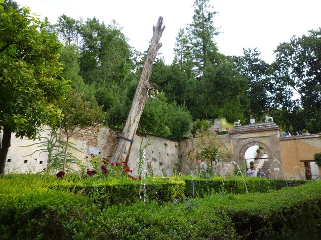 ヘラネリフェを出た後は憮然としながら出口へ向かいました。<br />入場料も12ユーロと安くはないというのに…。<br /><br />しかし、このまま見ずにこの地を去るのはあまりにも悔しいので、翌日リベンジ！！