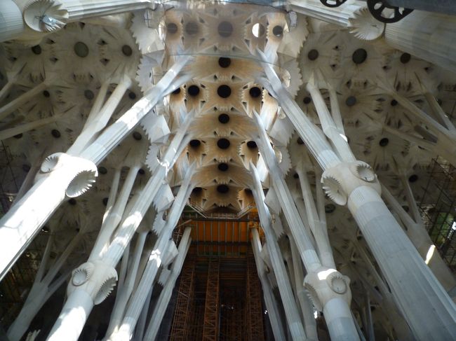 内部はまるで森林のような不思議な空間です。ガウディの作品は「自然」の美しさをモチーフにしているらしく、それを意識しながら見て回ると、色々発見があって楽しいです。