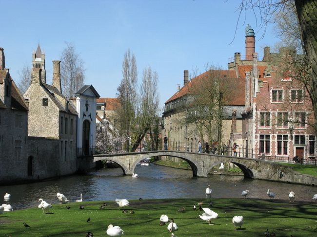 午後はブルージュにやって来ました。<br />　ブルージュは天井の無い博物館といわれ、かっての繁栄を今に伝えています。<br />しかも名前が示すように、運河が縦横に走り、しっとり落着いた雰囲気です。<br />　先ず来たのが、ホテルから５〜６分の愛の湖公園です。<br />白鳥が愛を囁いています。