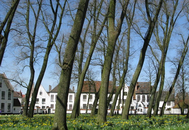 　ペギン会修道院に来ました。<br />ここは1245年設立の修道院で、1986年に世界遺産に登録されました。<br />又映画尼僧物語の舞台となった処でもあります。<br />　林越しに見る修道院はしっとりと落ち着き、別世界を見るようです。