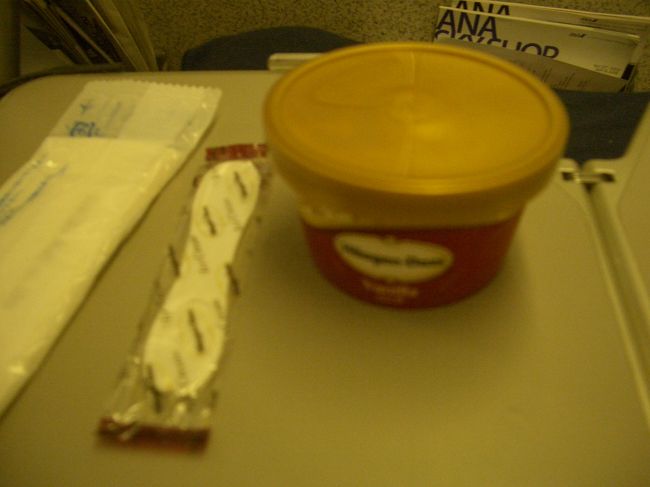 食後にはハーゲンダッツが！<br />意外なサービスに喜ぶ。