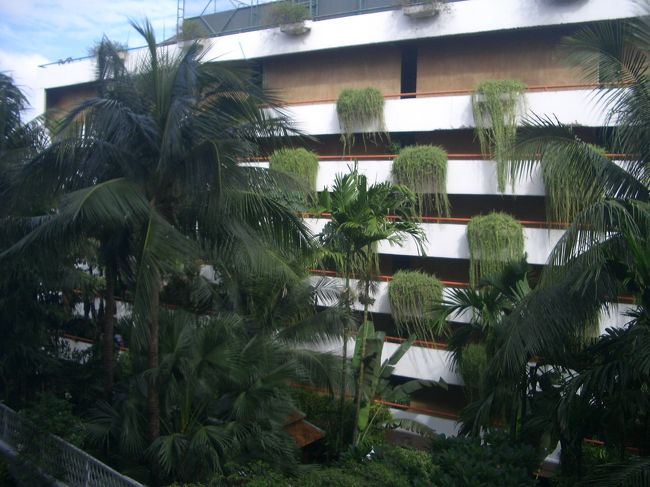 バルコニーからの写真。<br />決して良い眺めではないですが、<br />緑があって素敵です。<br />鳥の鳴き声もたくさん聞こえました。