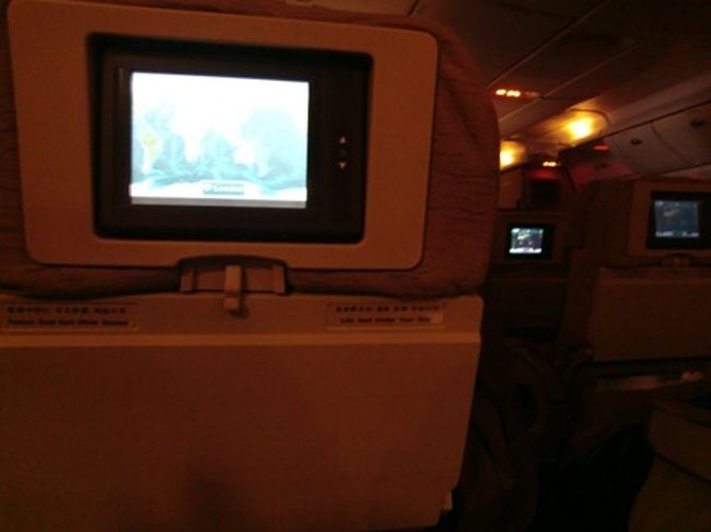 映画を見始めるも、古いタイプの飛行機なのかスタートのタイミングを選べないタイプだったため、エンディングの種明かしシーンから見るハメに・・・(´TωT｀) 