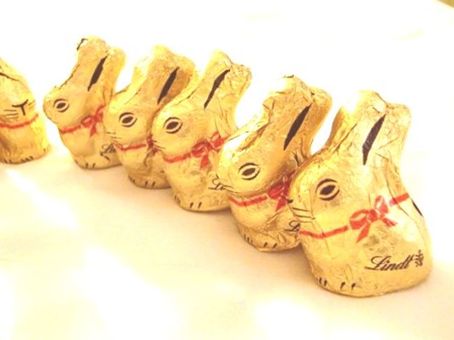 カップの中に、ウサギさんが10匹入っていました。