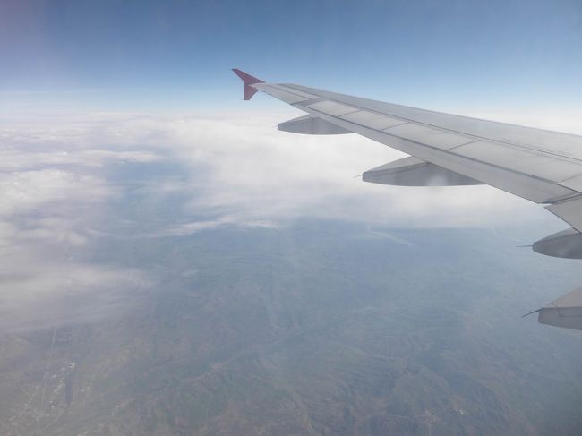 ☆4日目☆5/29<br /><br />喧騒のカイロからイスタンブールへ飛行機で移動し、乗り継いでカイセリ空港に向かいます。<br />今回の旅で一番楽しみにしていたカッパドキアなのでドキドキワクワク♪<br /><br />イスタンブールでは国内線に乗り継いだのですが、国際線から国内線の搭乗口がけっこう離れていて、しかも時間が１時間ほどしかなかったのですごいギリギリでした。<br />さらに国内線のチェックインカウンターの混んでること混んでること＞＜<br />乗れなかったらどうしようかと焦ったけど、なんとか無事に乗り、ギリギリだったから友達とは席が離れちゃったけど、寝ながら空の旅を楽しみました！<br /><br />カイセリ空港近くになると、段々飛行機も高度を下げてきて、街の景色が見えるようになったら、なんだかおもちゃの家がポツポツと並んでいるようでおもしろかったです(笑)<br />たぶん、広大な土地にポツポツと家や木があるからなのかなぁ〜ミニチュアの作り物っぽかったよ。