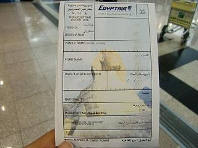 出国カードは、入国カードと同じようなフォーム。<br />