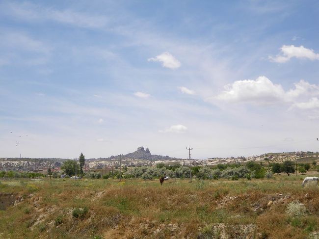 舗装された道路からちょっと外れて、ガッタガタする道に入って走ること少し。<br />景色はどこを見ても最高だけど、遠くに【ウチヒサル】が見えます。<br />ハトサブレみたい(笑)<br />あそこの近くに行くのも楽しみにしていて、それは後日のツアーに含まれていたので取って置きました。