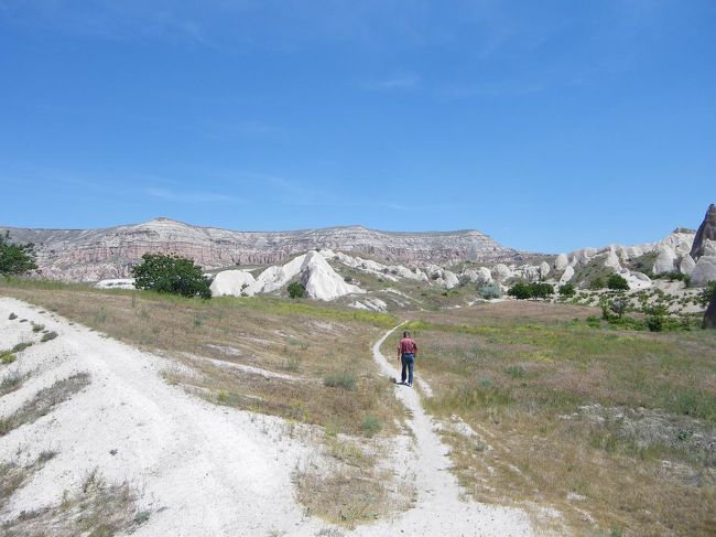 ハサンさんは慣れているから、どんどん先に進み、めちゃ歩くのも早い！<br />「僕はもうおじさんだけど、まだ若いんだから〜早く早くっ」「無理無理〜」なんて言いながら、奥に進んでいきます。<br />道は分かりやすいような、でも自分で行ったら迷いそうな感じでした。