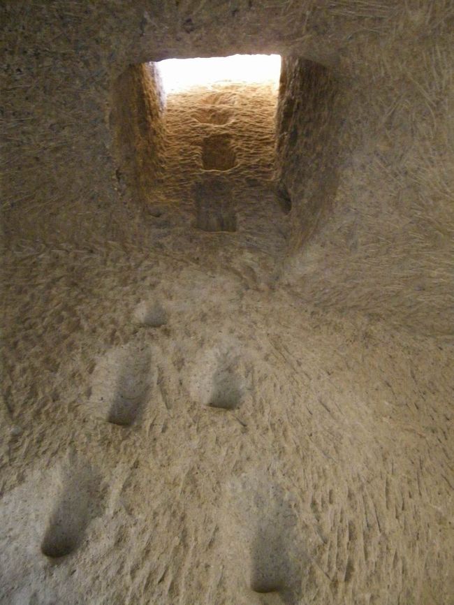 そして、外に出られるような造りになっていました。<br />何か敵が来たときに、ここから登って逃げられるようになっているんだって。<br />色んな工夫がされているんですね！