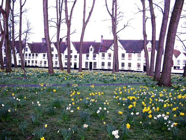 4月7日　<br />　朝7時、明るくなるのを待って散歩に出る、先ずペギン修道院の庭を歩く、薄く朝靄が立ち込め、建物も眠りから完全には覚めていない。<br />　水仙の咲く林の道、シスターが静かに歩いています。　<br />静寂の中に暫し佇む、このままジットしていたい・・・・<br />　気を取り直して、愛の湖公園へ、白鳥の一日はもう始まっています。<br />　昨日見残したブルグ広場に行く、教会の門は閉じたままです。<br />今日の出発は８時20分　そろそろホテルに戻り朝食を取らねば成りません。　　