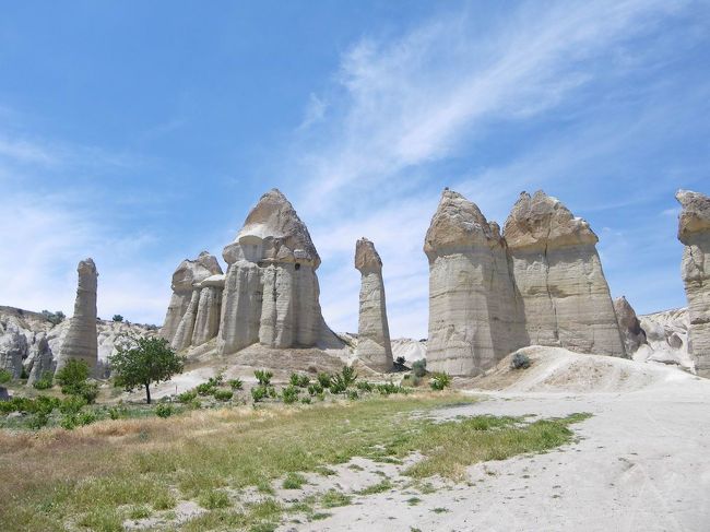 こっちにあるのはさらに大きくて、あたしには昔ドラクエに出てきた、ホイミスライムに見えて仕方なかった(笑)<br />似てますよね♪