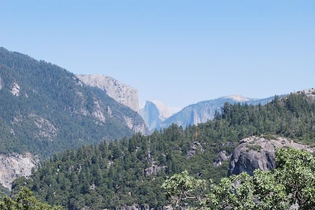 Half Dome View