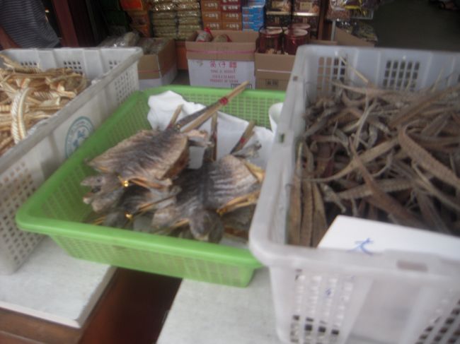 途中、トカゲの干物のようなものが。。<br />ギャー！