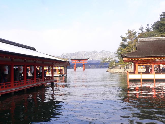 冬の宮島です。<br />本土の山が雪景色でした