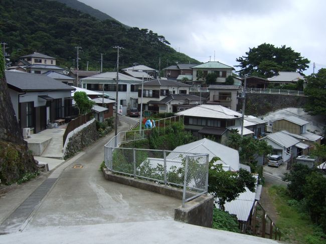 御蔵島は直径5km（外周17km弱）、島民300人弱の小さな島です