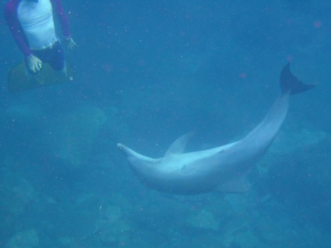 なかなかこんなふうに一緒には遊べませんでした。<br /><br />もっと練習して今度は遊べるようになりたい！